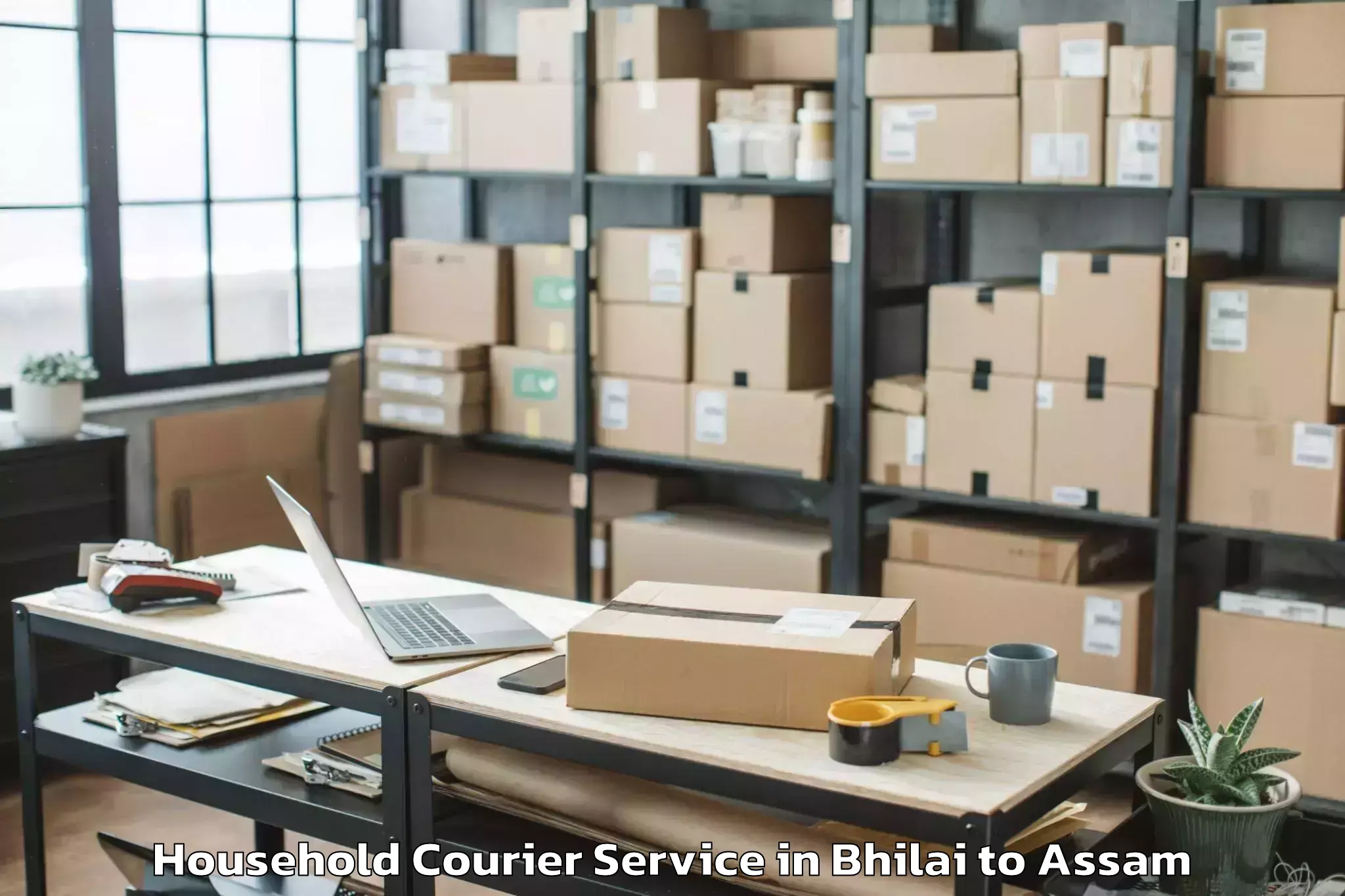 Quality Bhilai to Pachim Nalbari Household Courier